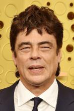 Benicio Del Toro