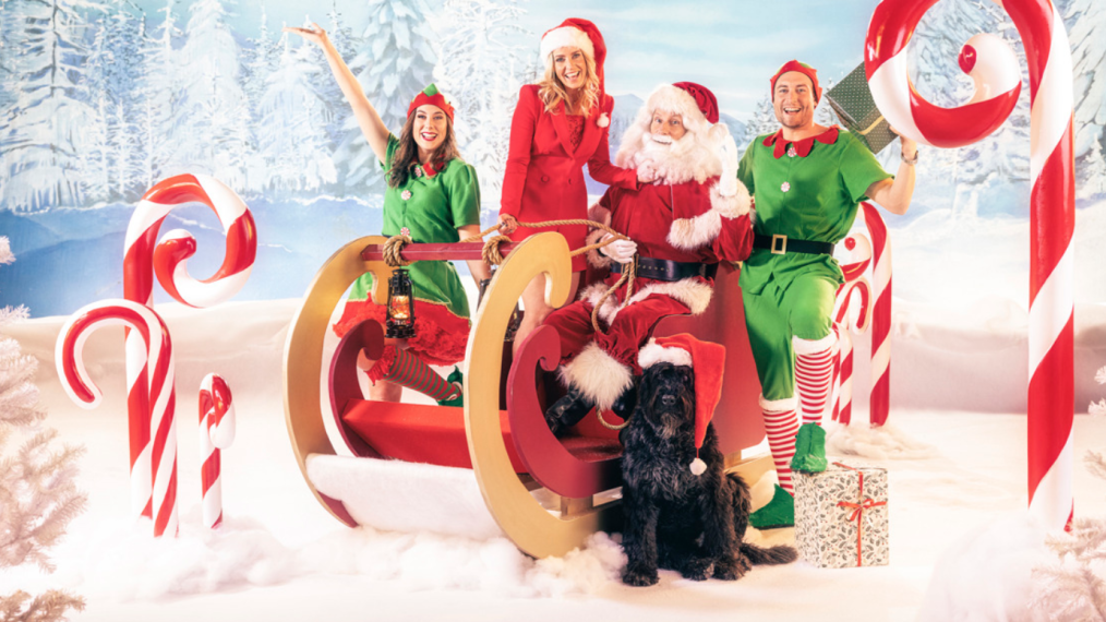 De Verhulstjes: Gert Verhulst, Viktor Verhulst, Ellen Callebout, Marie Verhulst