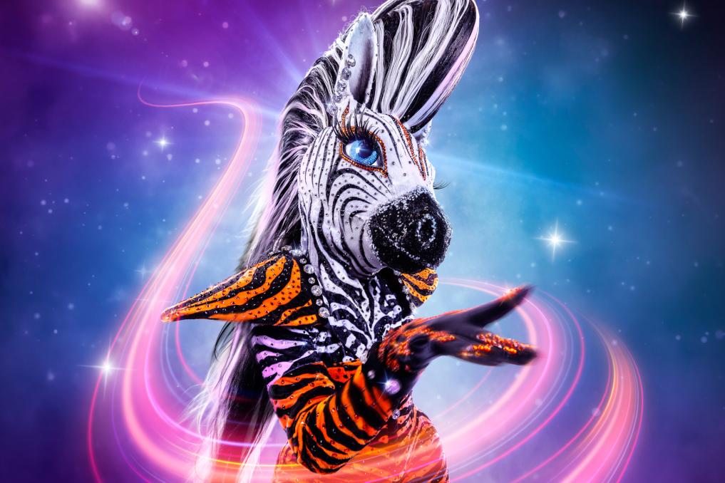 Zebra, The Masked Singer