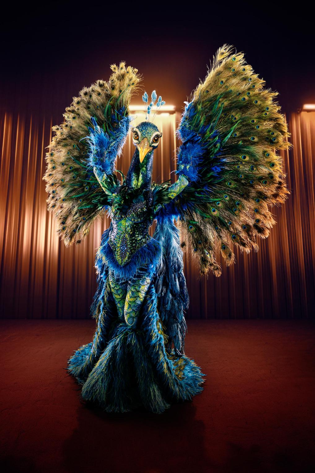 Pauw in The Masked Singer 2025