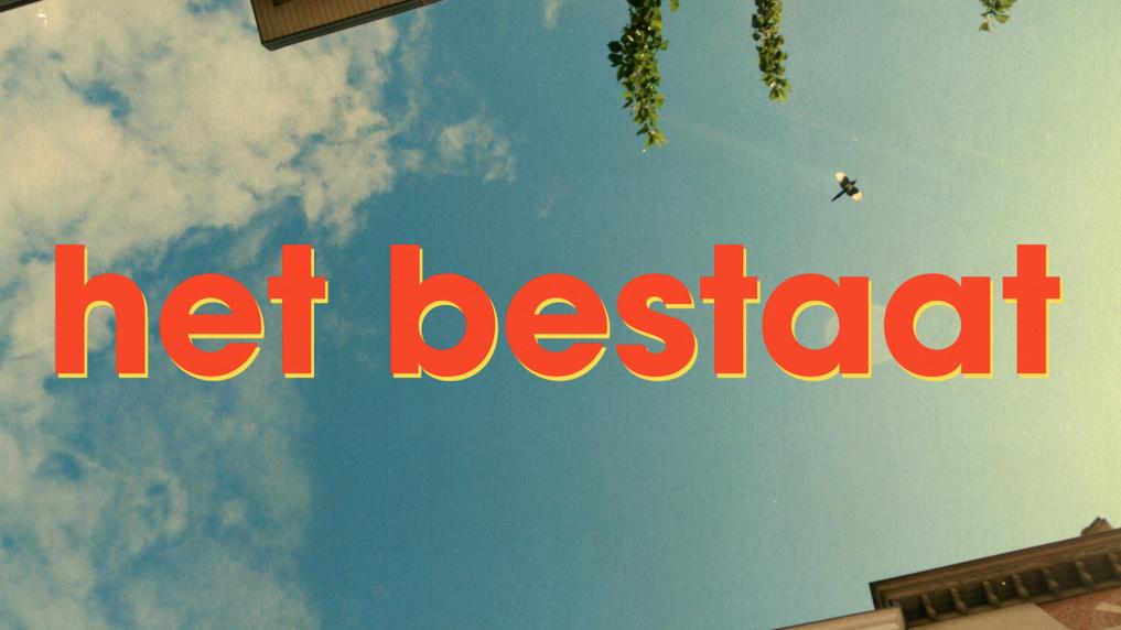 Het Bestaat